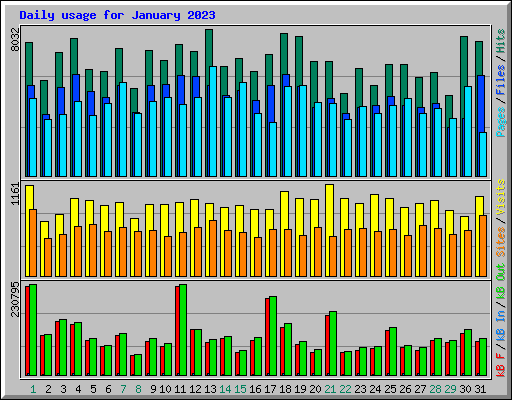 Daily usage for January 2023