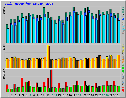 Daily usage for January 2024