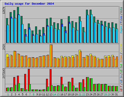 Daily usage for December 2024