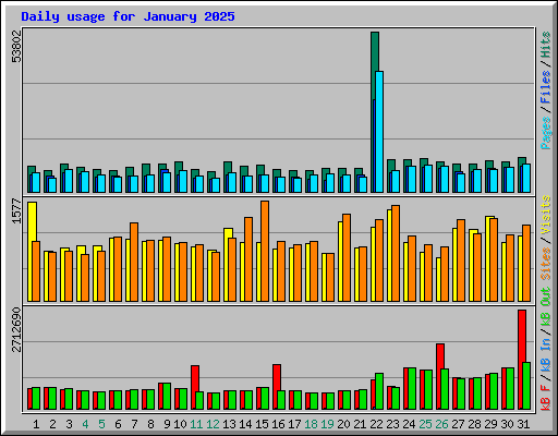 Daily usage for January 2025