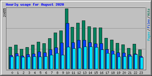 Hourly usage for August 2020