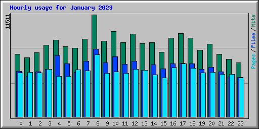 Hourly usage for January 2023