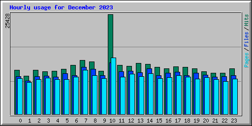 Hourly usage for December 2023