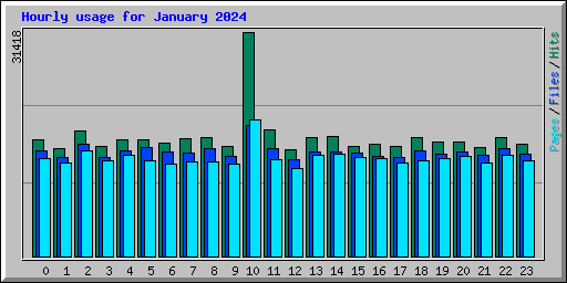 Hourly usage for January 2024