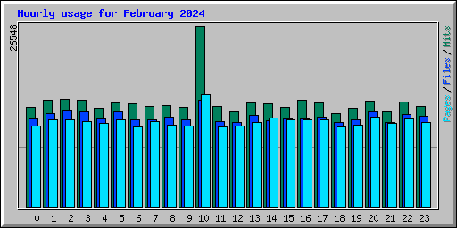 Hourly usage for February 2024