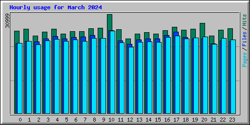 Hourly usage for March 2024