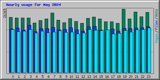 Hourly usage for May 2024