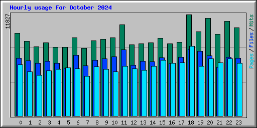 Hourly usage for October 2024