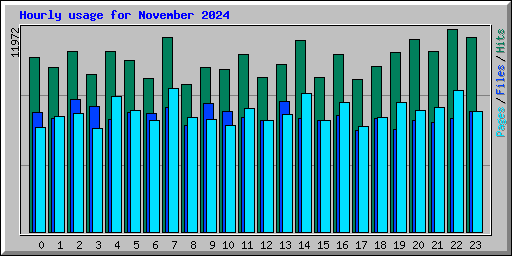 Hourly usage for November 2024