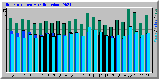 Hourly usage for December 2024