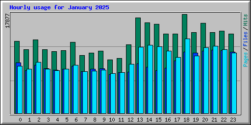 Hourly usage for January 2025