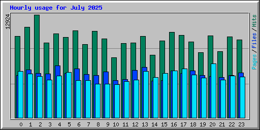 Hourly usage for July 2025