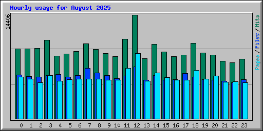 Hourly usage for August 2025