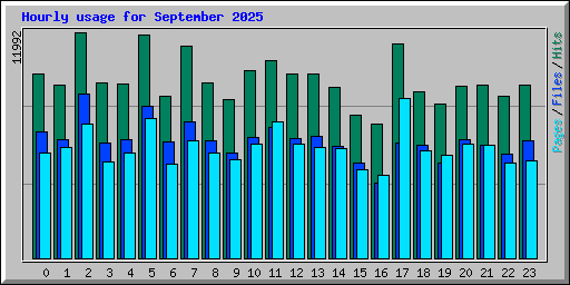 Hourly usage for September 2025
