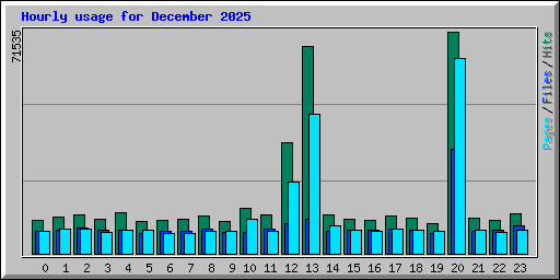 Hourly usage for December 2025