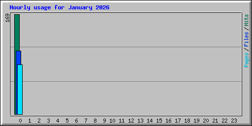 Hourly usage for January 2026