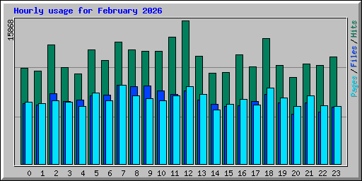 Hourly usage for February 2026