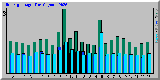 Hourly usage for August 2026