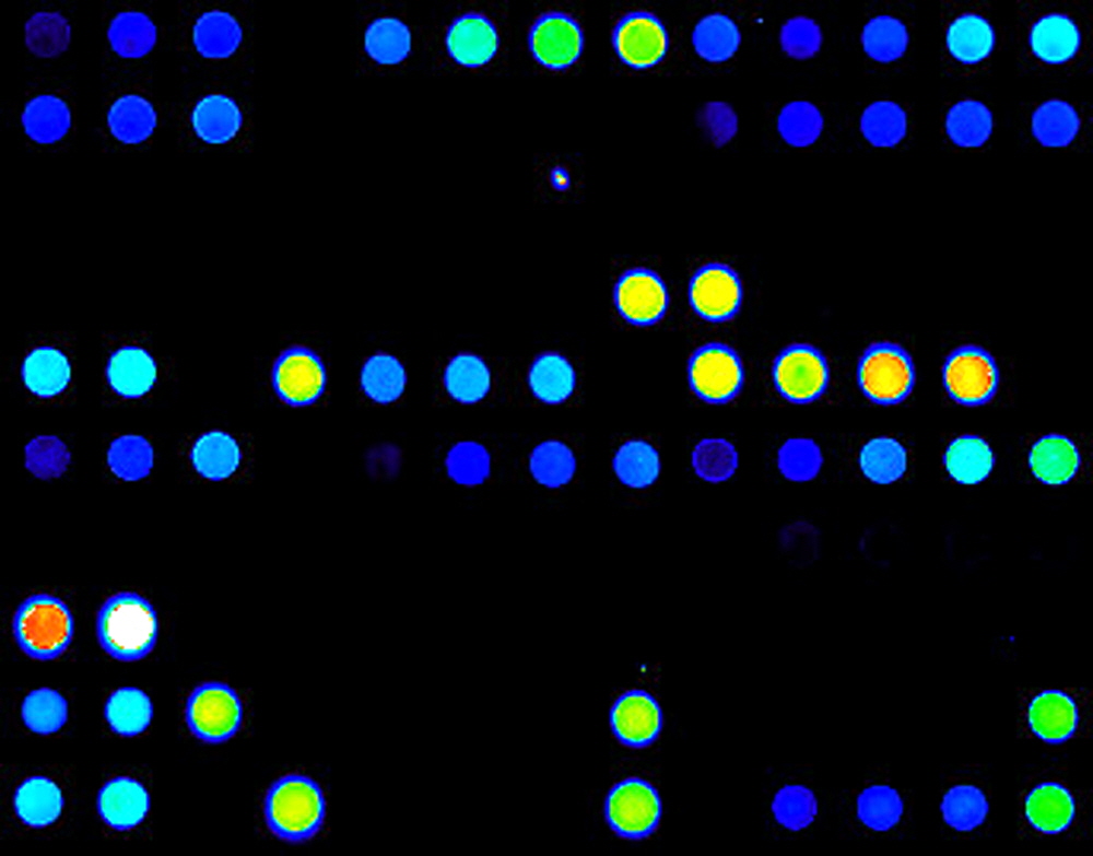 FITC microarray