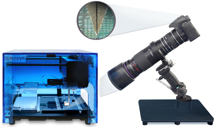 Microfluidic