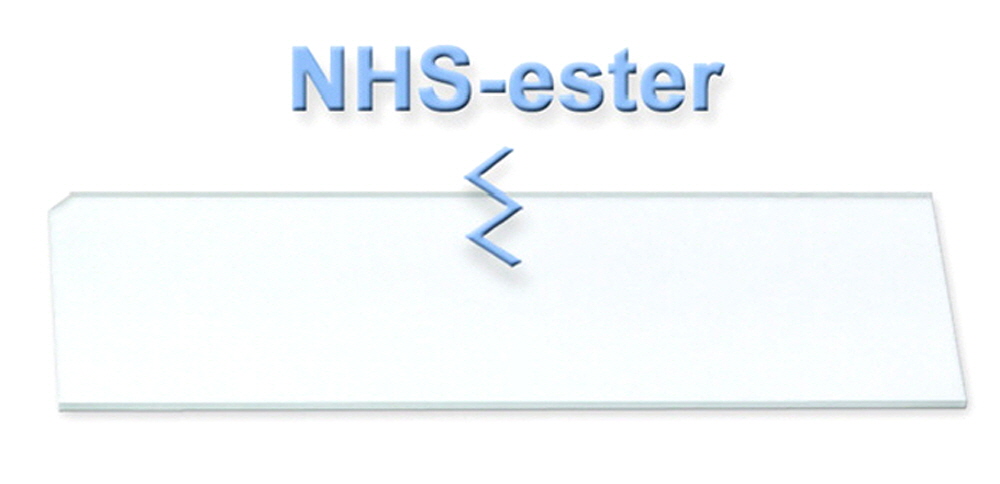 NHS_ester_microarray_slide