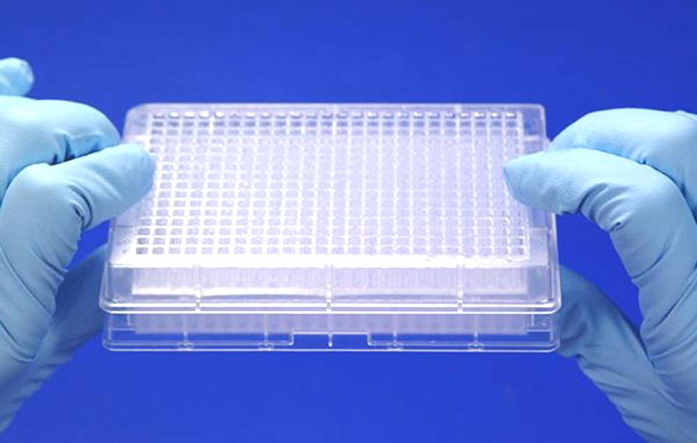 PCR_plate