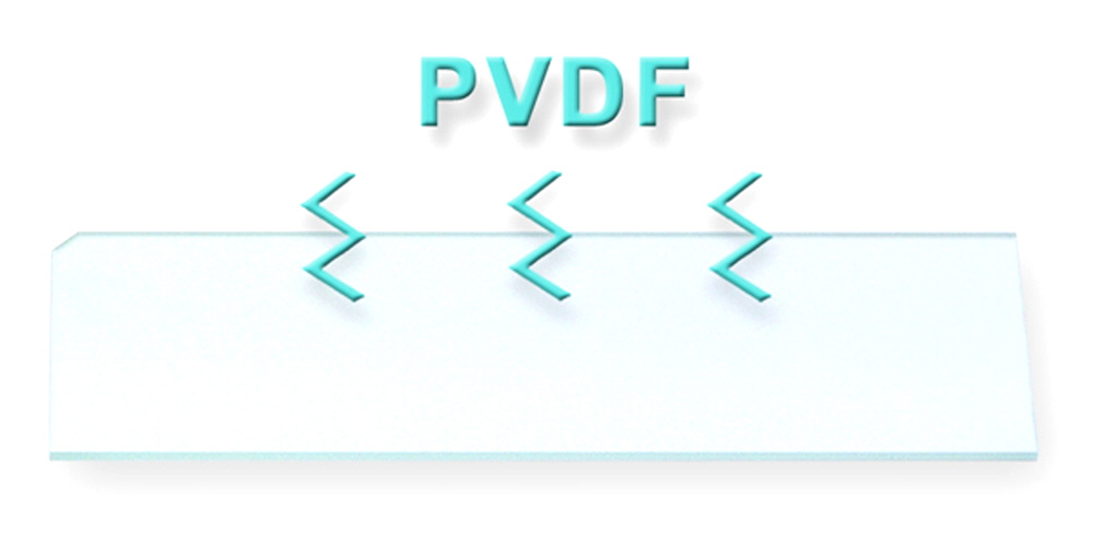 PVDF-microarray-slide