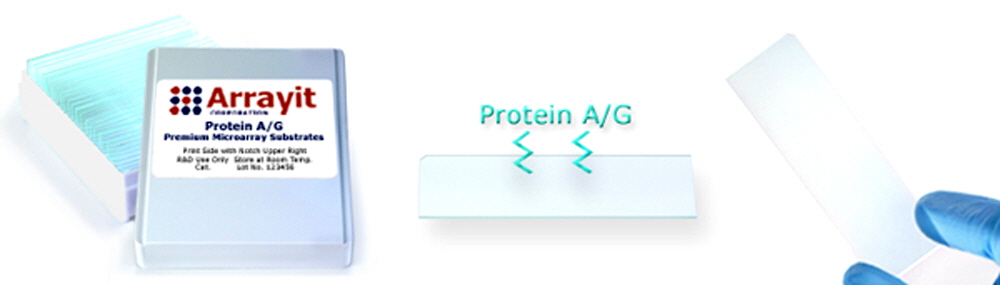 Protein-AG-Slide-Microarray