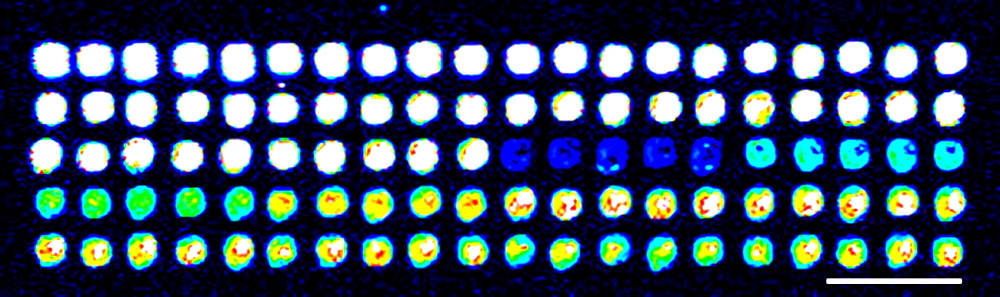 SpotBot®3_DNA_Microarray