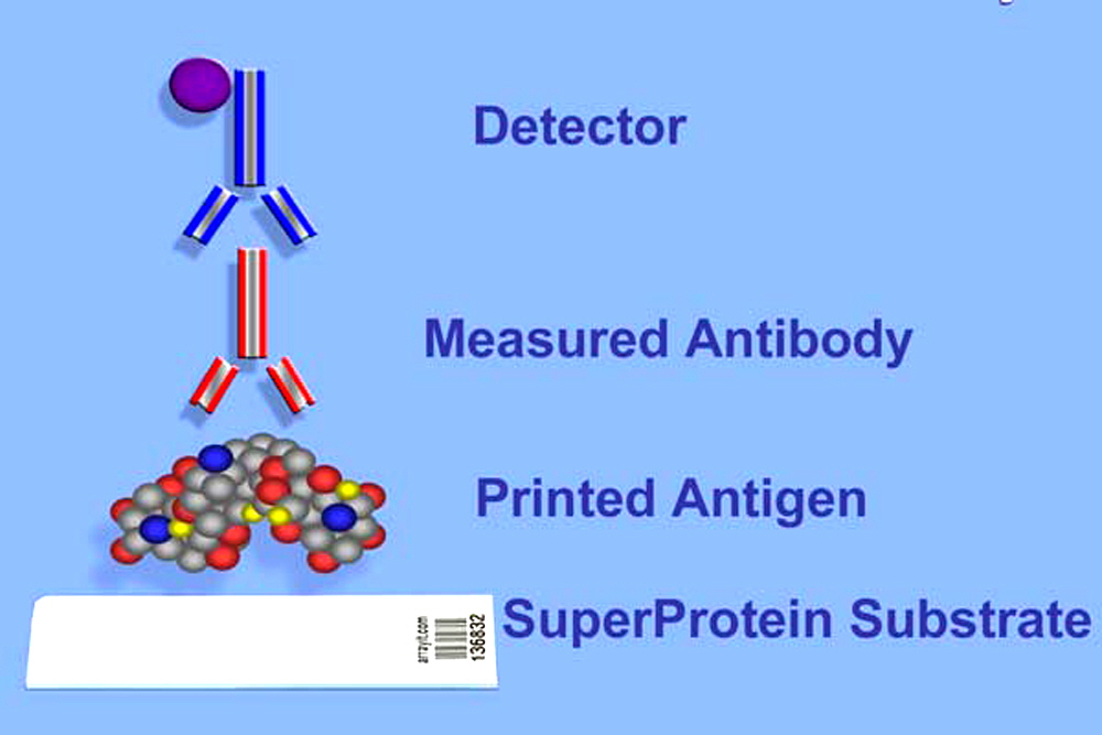 membrane-slides