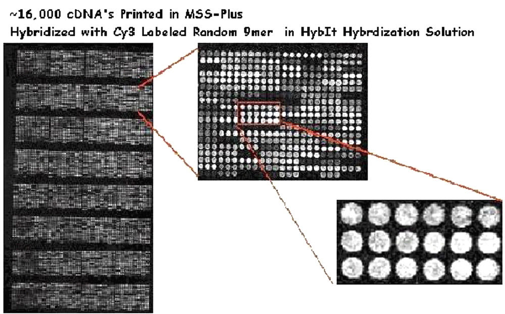 microarray-hybridization-buffer