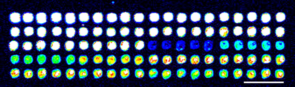microarray-sample-spotting
