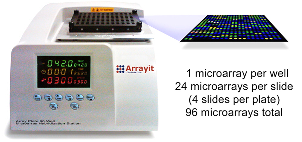 microarray_hybridization