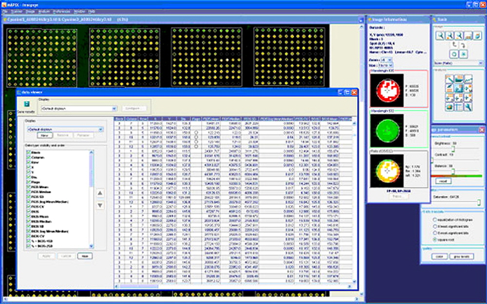 microarray_quantitation_software