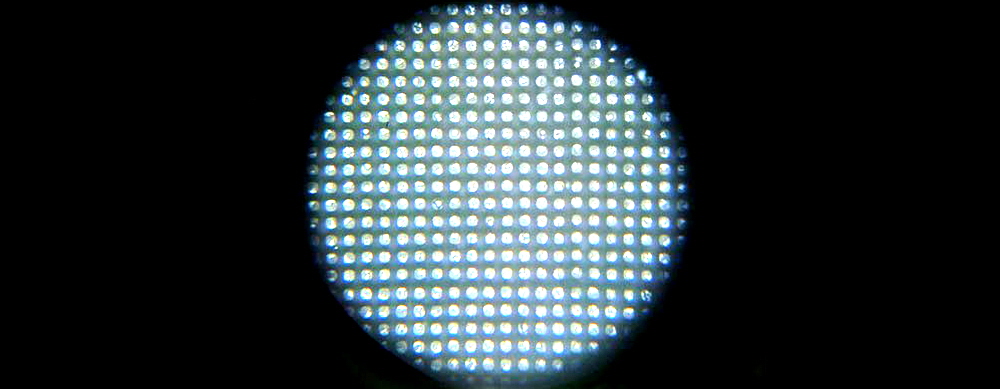 microarray_spots-magnified