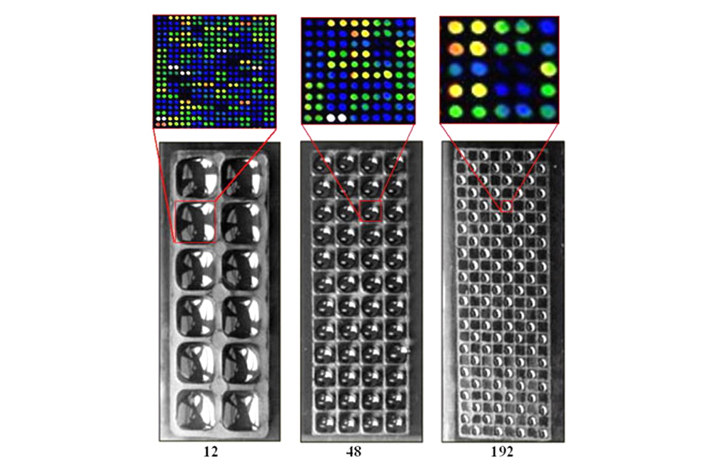 microarray_wells