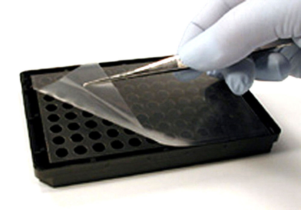 microplate-adhesive