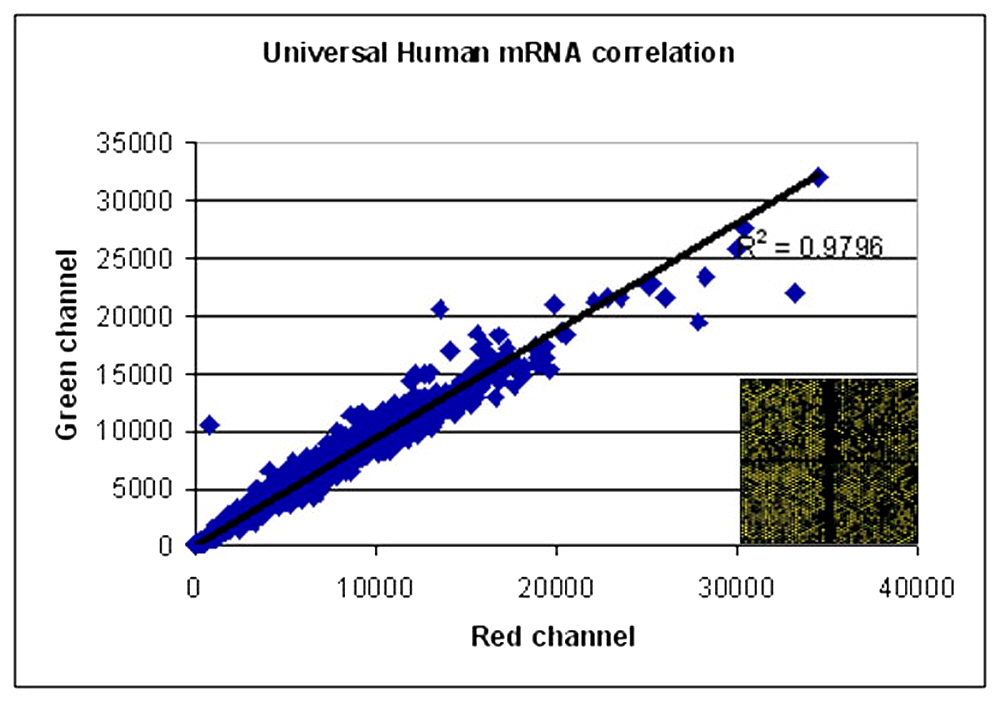 reference-RNA