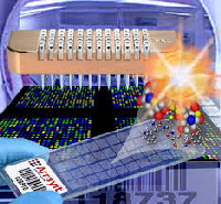 reverse-phase-microarray